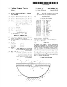 ZeSa US Patent 9,999,807 B2